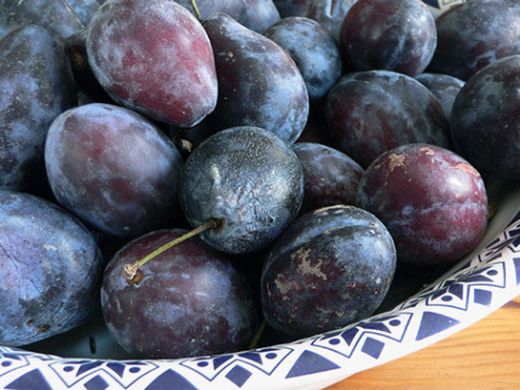 Erik Kurusu Kaç Kalori?