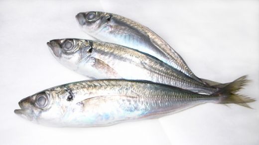 İstavrit Kaç Kalori?