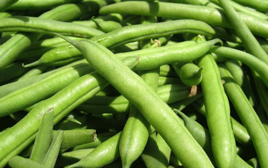 Fasulye Ka Kalori