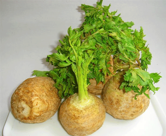 Kereviz Ka Kalori