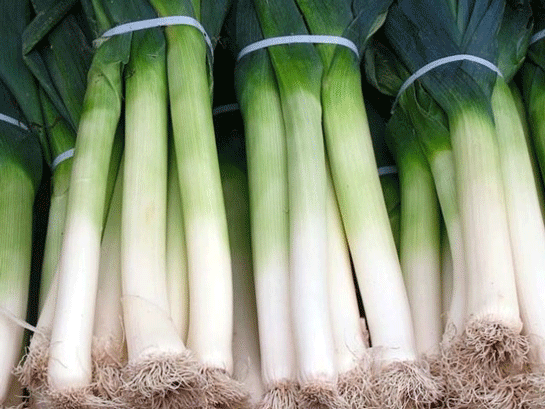 Pırasa Kaç Kalori?